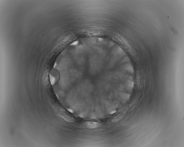 X0000110700169200907241132