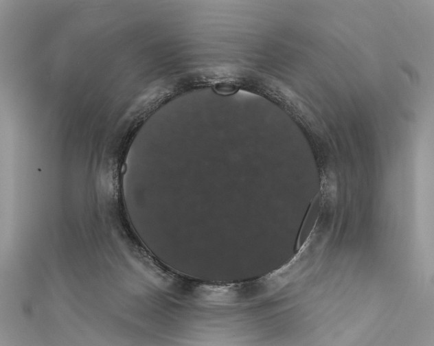 X0000110700170200907241132