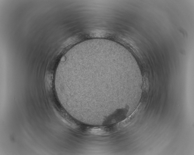 X0000110700171200907241132