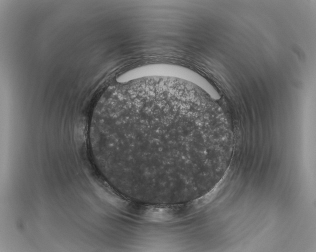 X0000110700174200907241132