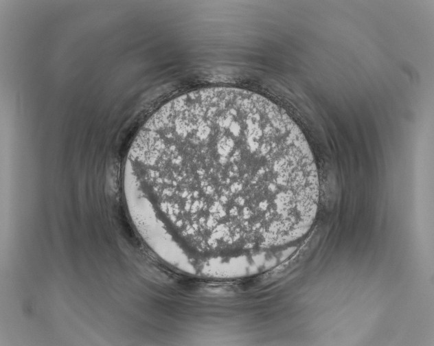 X0000110700175200907241132