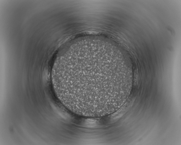 X0000110700176200907241132