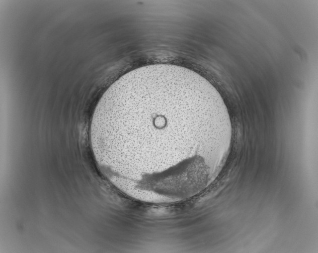 X0000110700177200907241132