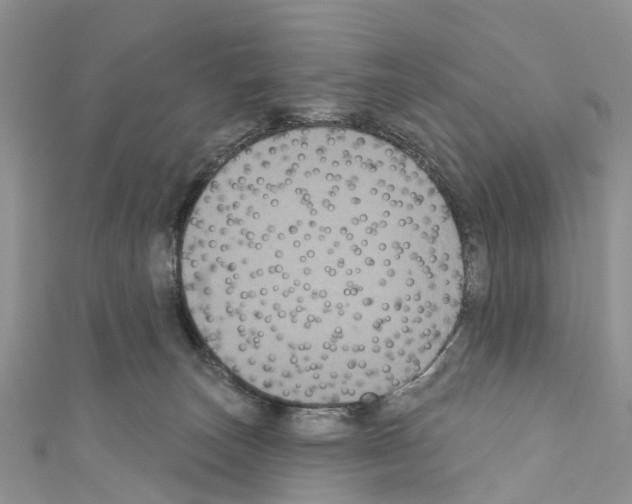 X0000110700179200907241132