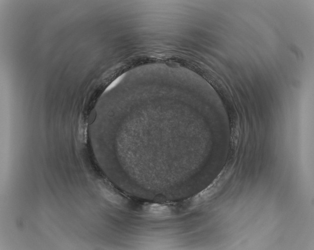 X0000110700180200907241132