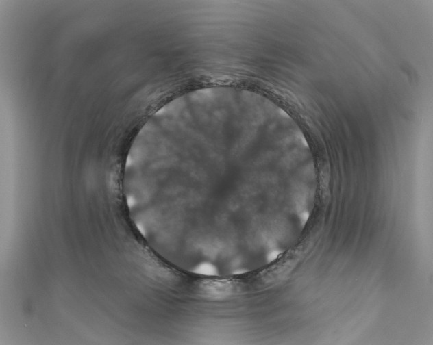 X0000110700181200907241132