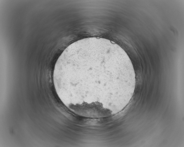 X0000110700182200907241132