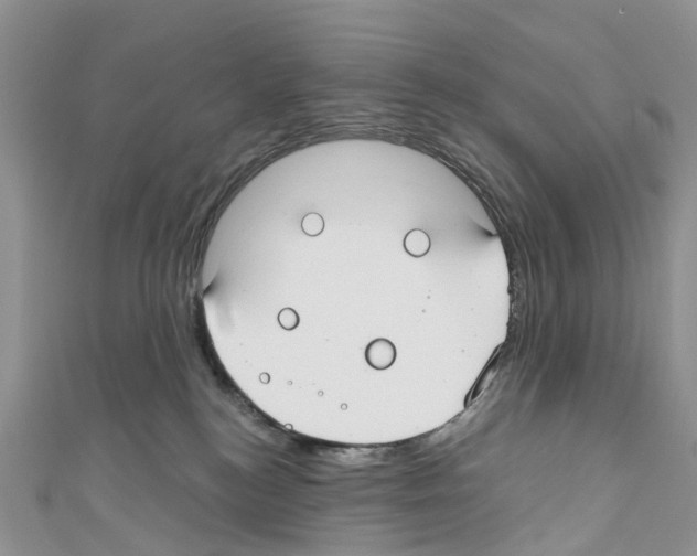 X0000110700184200907241132