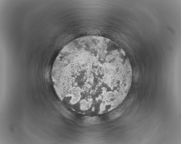 X0000110700185200907241132