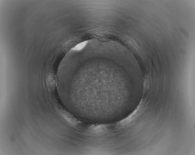 X0000110700186200907241132