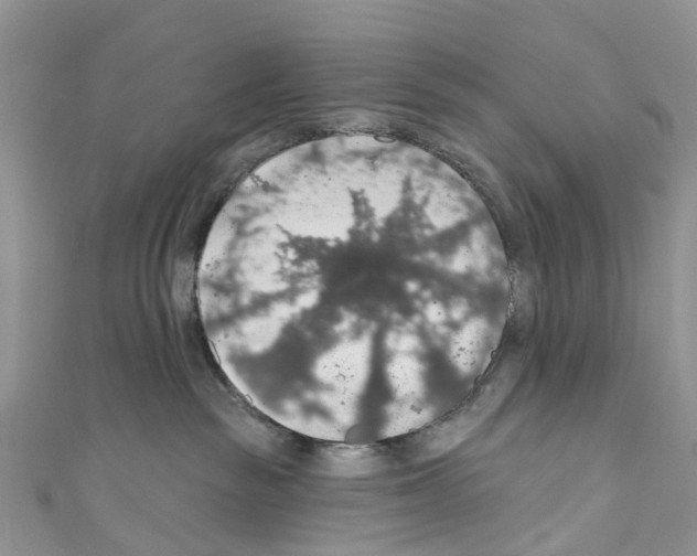 X0000110700189200907241132