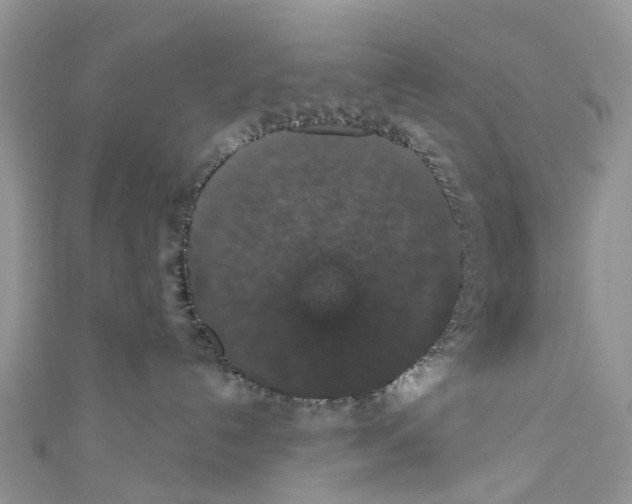 X0000110700192200907241132