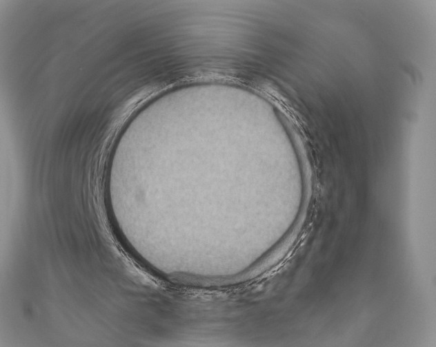 X0000110700193200907241132