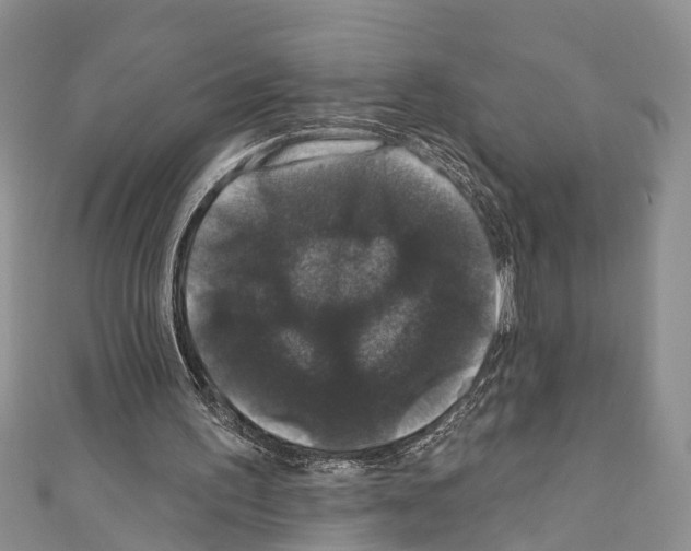 X0000110700195200907241132