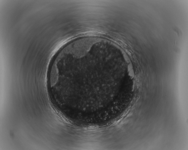 X0000110700196200907241132