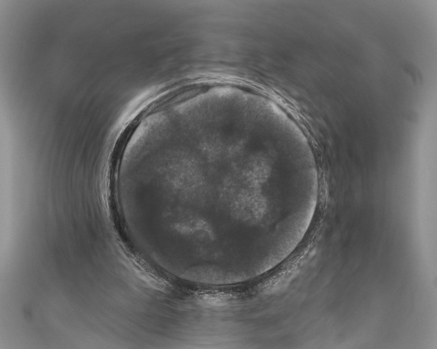 X0000110700199200907241132