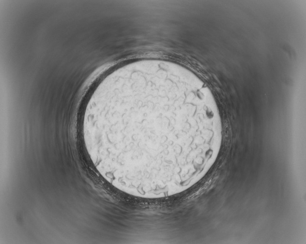X0000110700200200907241132