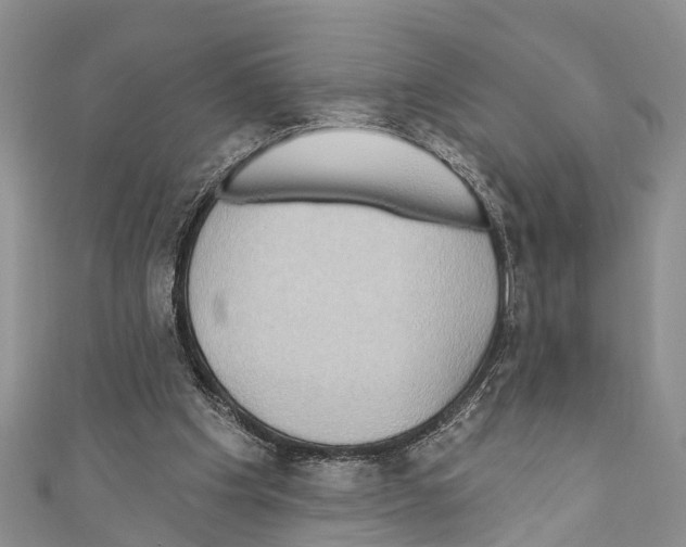 X0000110700201200907241132