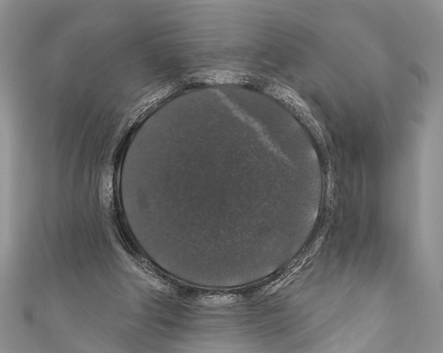 X0000110700202200907241132