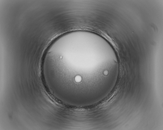 X0000110700203200907241132
