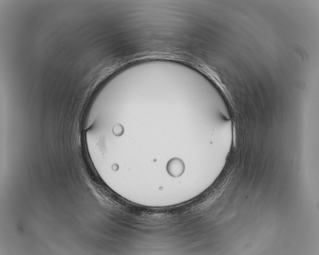 X0000110700205200907241132