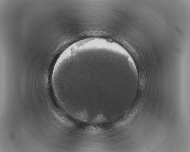 X0000110700207200907241132