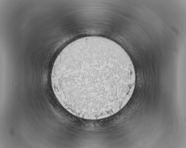X0000110700208200907241132