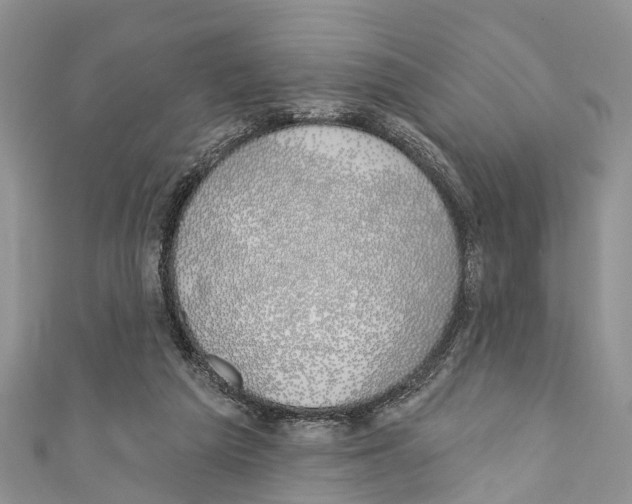 X0000110700209200907241132