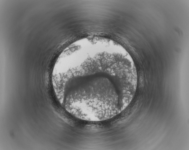 X0000110700211200907241132