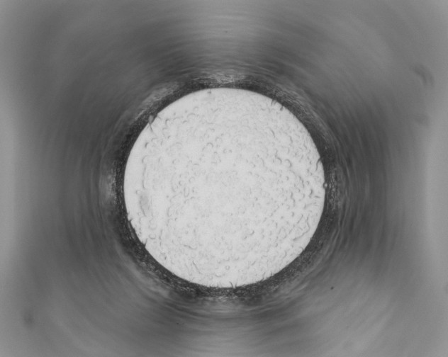 X0000110700212200907241132