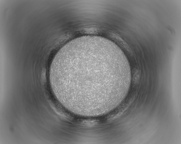 X0000110700213200907241132