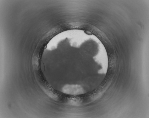 X0000110700215200907241131