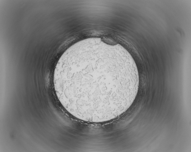 X0000110700216200907241131