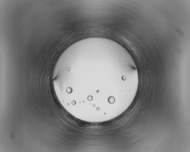 X0000110700217200907241131