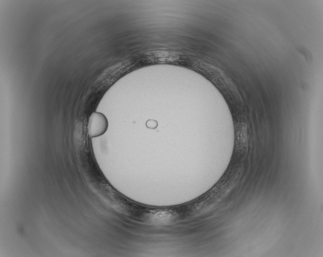 X0000110700218200907241131