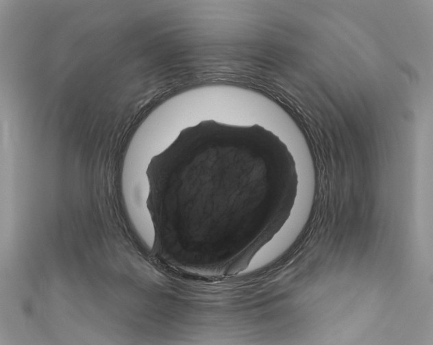 X0000110700219200907241131