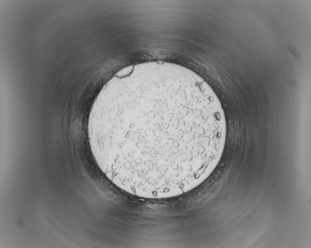 X0000110700220200907241131