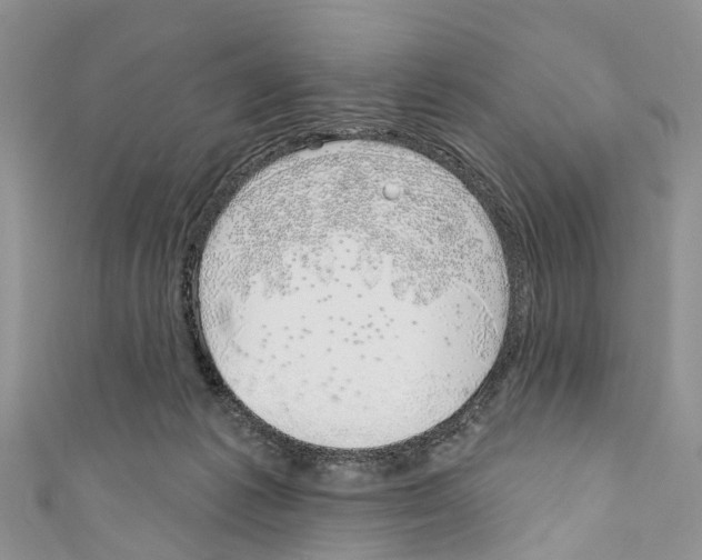 X0000110700221200907241131