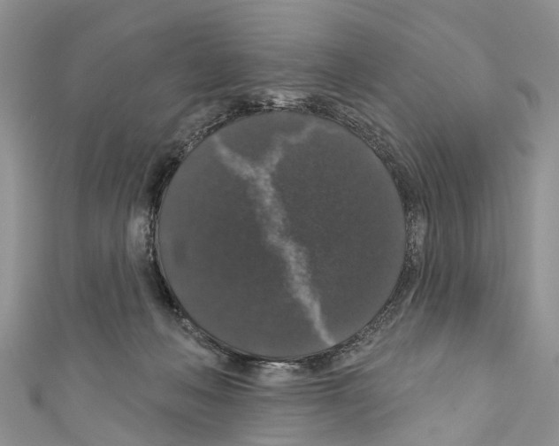 X0000110700222200907241131