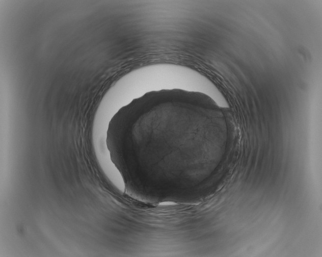 X0000110700223200907241131