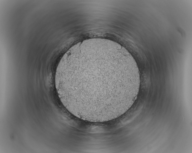 X0000110700224200907241131