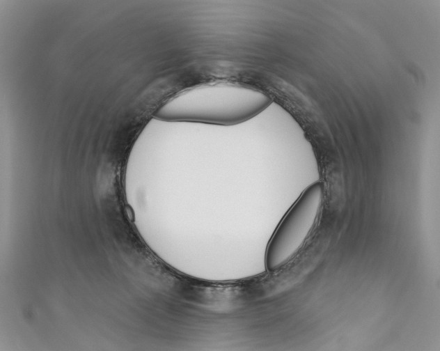 X0000110700225200907241131