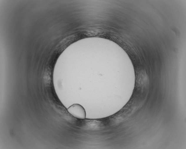 X0000110700226200907241131