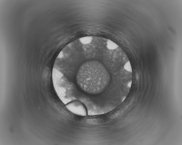 X0000110700228200907241131