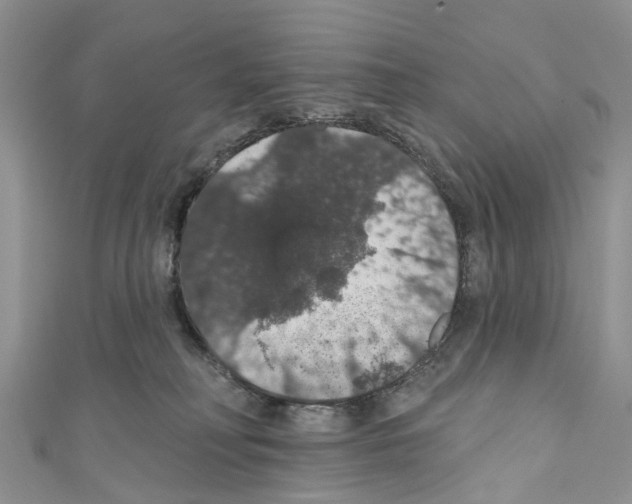 X0000110700230200907241131