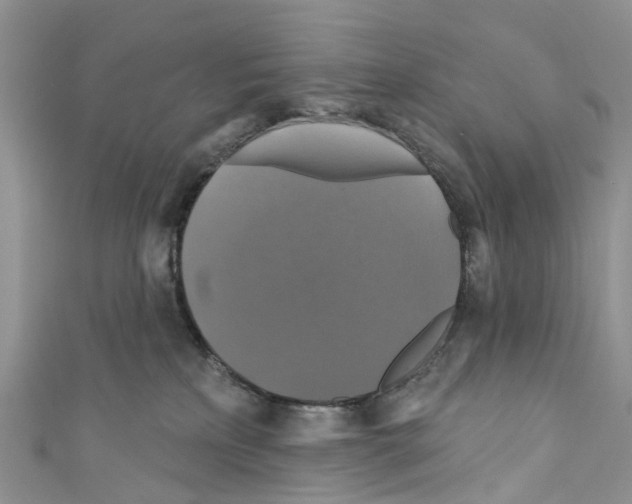 X0000110700233200907241131
