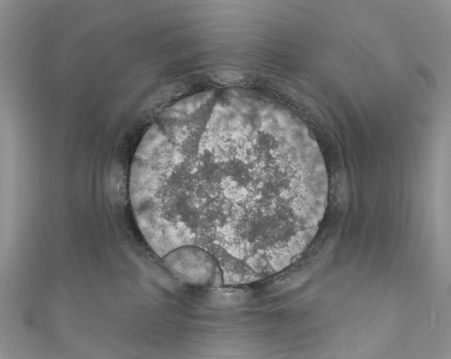 X0000110700234200907241131