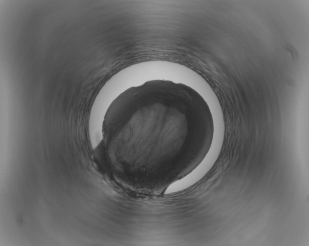 X0000110700235200907241131