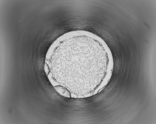 X0000110700236200907241131