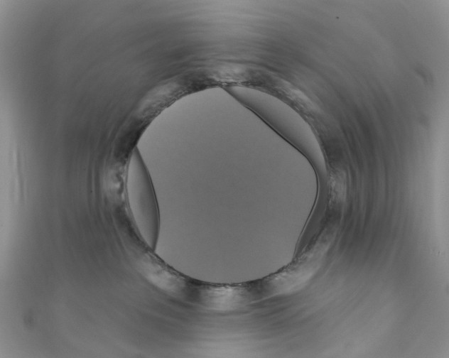 X0000110700237200907241131